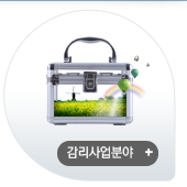 감리사업분야